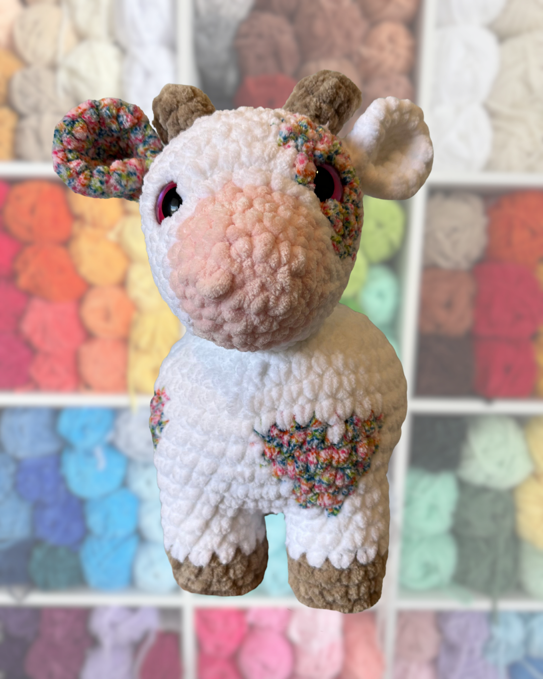 Jumbo Rainbow Spotted Cow